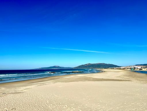 Serene beach under a clear blue sky.