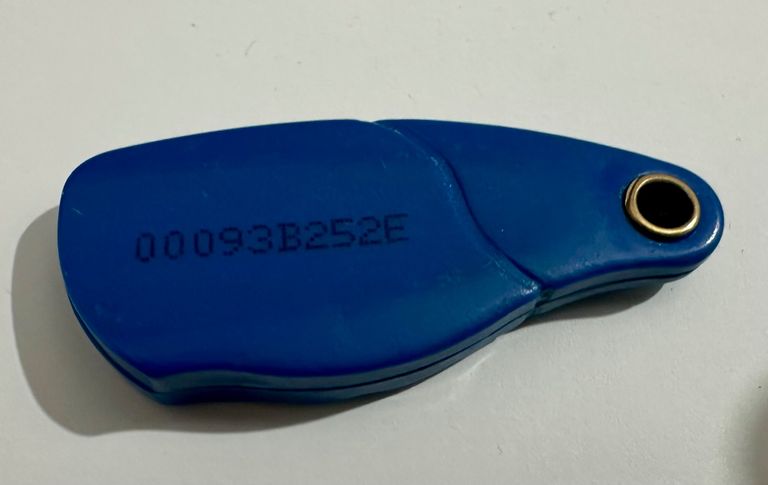 Blue plastic key fob